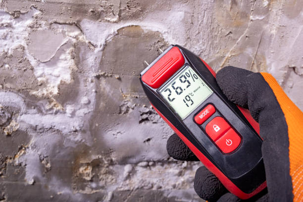 Best Mold Testing  in Forestbrook, SC