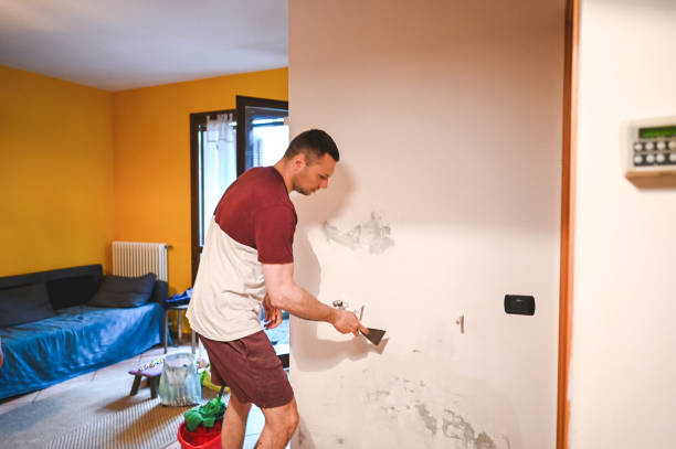 Best Mold Damage Repair  in Forestbrook, SC